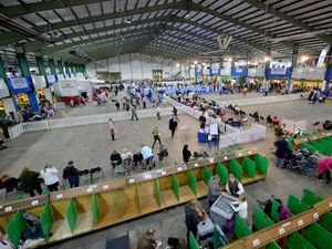 Supporting image for story: Stafford showground could become temporary mortuary during Covid-19 pandemic