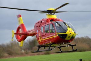 Supporting image for story