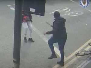 Supporting image for story: Call for machete sale ban is backed by ministers and MPs