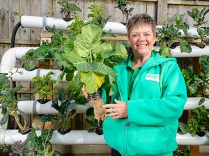 Supporting image for story: Search underway for SME ‘best of the West Midlands’