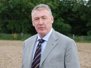 Supporting image for story: Farmers warned to beware hidden Rape Winter Stem Weevil threat