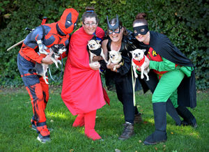 avid Nelson, Nicola Mulligan, Louise Harding and Andrea Gilchrist from Wolverhampton with their chihuahuas Kristoff, Eli, Luigi and Lulabelle