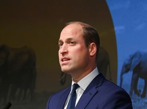 Supporting image for story: William pledges continued support for wildlife rangers in video message