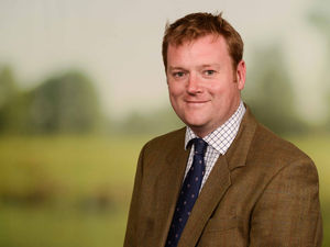 Supporting image for story: Grasping opportunities for environmental gain