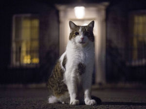 Supporting image for story: MPs are jumping Tories' ship before she capsizes