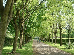 Supporting image for story: Appeal for memories of Hednesford Park