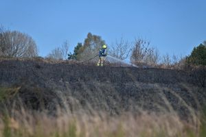 The ground at Gentleshaw Common has been damaged by the fire