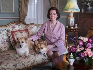 Supporting image for story