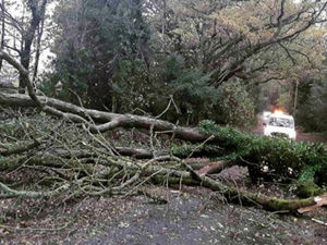 Supporting image for story: Storm Claudia: Road crews tackle more than 200 incidents across Staffordshire