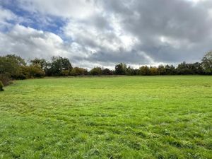 The 6.86-acre plot will be sold at public auction on Friday, November 28. Picture: Rightmove/Halls