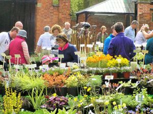 Supporting image for story: Weston Park hosts Plant Hunters’ Fair