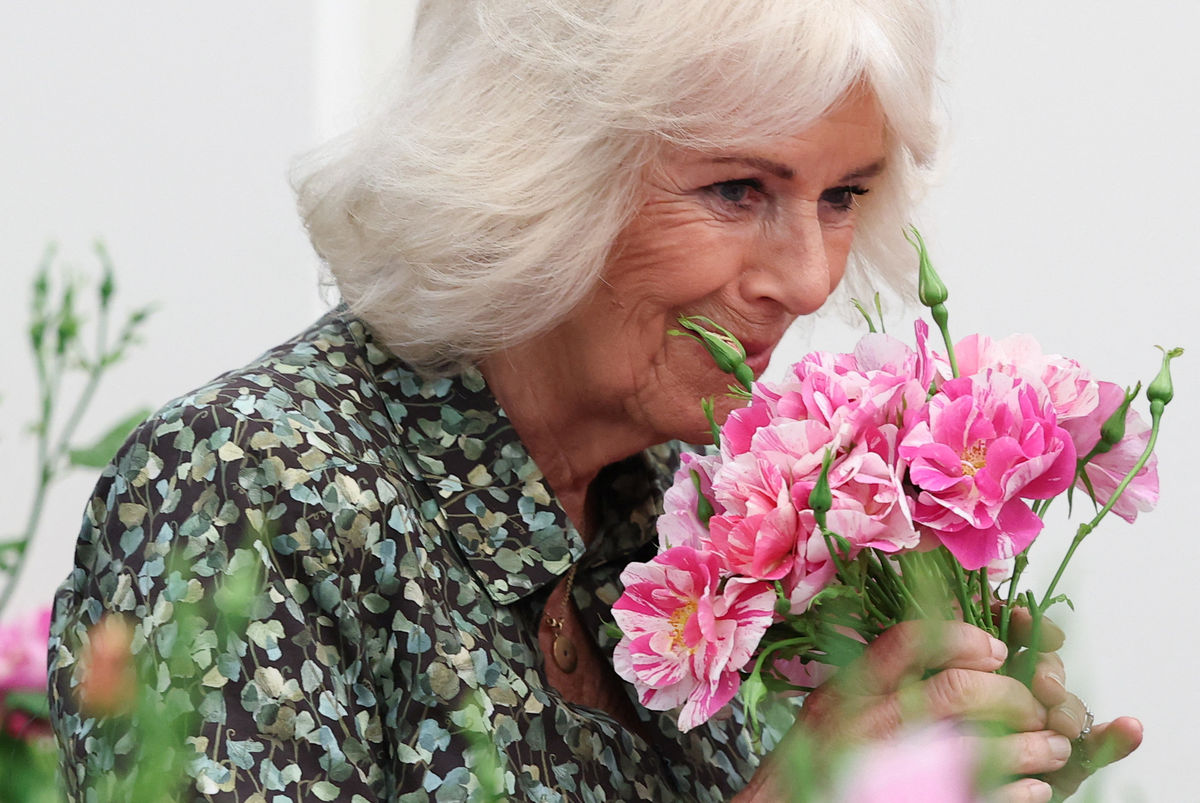 12 gorgeous pictures of King Charles III, Queen Camilla and David Beckham at the RHS Chelsea Flower Show 2025
