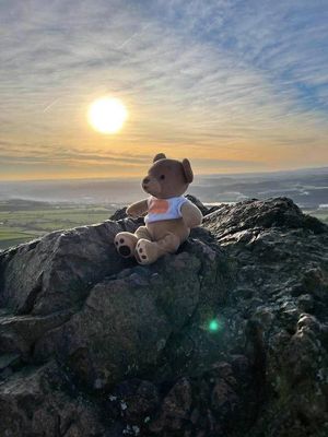 Buddy Bag teddy on the Wrekin