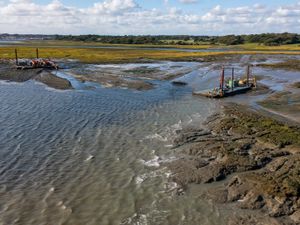 Supporting image for story: Harbour-dredged mud used for ‘remarkable’ restoration of protective saltmarsh