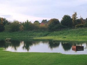 Supporting image for story: Ellesmere Cricket Club pitch so flooded that DUCKS move in