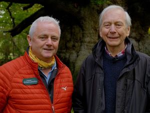 Supporting image for story: Ellesmere tree expert set to feature on Channel 5 documentary