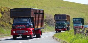 A trio of stock lorries