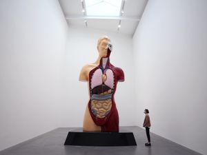 Supporting image for story