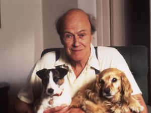 Supporting image for story: Cathy Dobbs: Rewrites smash the fun out of Roald Dahl classics
