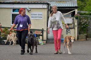 Marty Burrell, right, and Sophie Hounsell with Bonnie and Jack