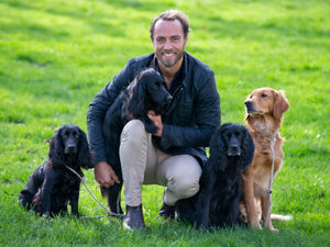 Supporting image for story: Crufts 2020: Inspirational dogs and their owners up for Friends For Life award