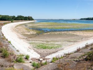 Supporting image for story: Drought expected to be declared for parts of England as heatwave scorches UK