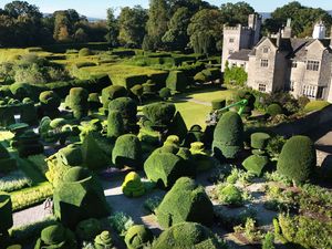 Supporting image for story: Gardeners begin mammoth six-month trim of world’s oldest topiary