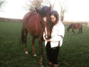 Supporting image for story: 'Once-in-a-lifetime' horse killed in road crash to be remembered on safety campaign ride