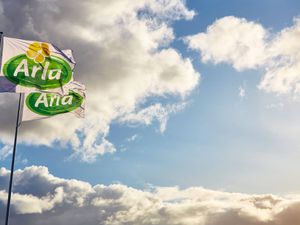 Supporting image for story: Lurpak maker Arla says higher pricing set to cause weaker sales volumes