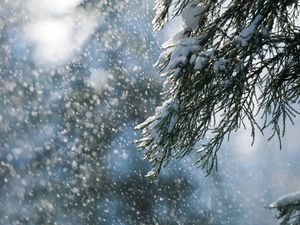 Supporting image for story: Snow showers expected in parts of the UK during ‘brief cooler spell’