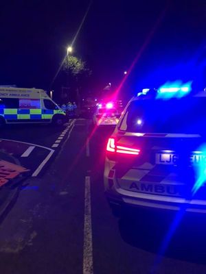 Emergency services at the scene. Photo: Andrew Oleschuk