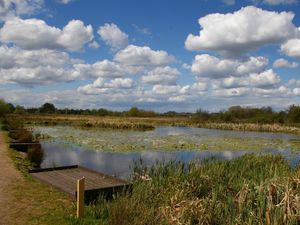 Supporting image for story: Firefighters rescue people stranded in flooded marshes in Stafford
