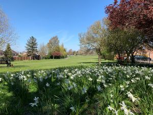 Supporting image for story: Peaceful protest over car parking at park