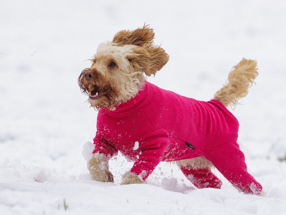 Whole island of Ireland under weather warning as wintry conditions sweep in