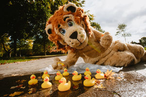 Lenny the Lion prepares for the virtual event