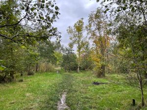 Taken by LDR Rachel Alexander
Permission for use for LDR partners 