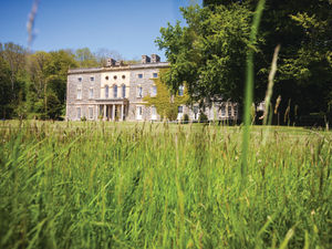 Supporting image for story: Perfect place for relaxation