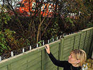 Supporting image for story: M-way family's anger as noise barrier taken
