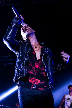 Daughtry. Picture by: Adriana Vasile