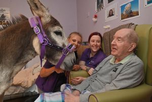 Donkeys Alfie and Vinny visited  residents in two Great Wyrley care homes.
Resident Raymond Wheeler is picture with 
 Jo Wightman from Donkey EARS. Alfie the donkey, and staff member Nikita Bladon 