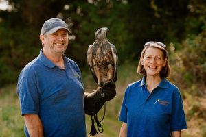 Steve Cross, Paco the Chilean Blue Eagle and Lisa Scattergood