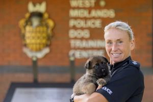 Inspector Rachel Crump with one of the new puppies