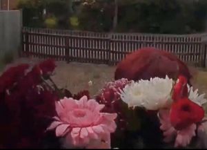 Bailey hid a 'large carving knife' in a bouquet of flowers before repeatedly knifing her ex-partner's wife