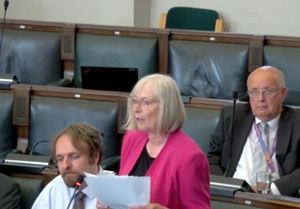 Birmingham Conservative councillor Deirdre Alden at a full council meeting on June 17, 2025. Taken from webcast.
