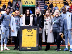Supporting image for story: The Tipton's partnership with Wolves in 13th season