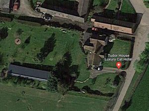 Supporting image for story: Luxury cat hotel built without permission on green belt loses planning appeal 