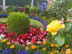 Supporting image for story: 'Town of Flowers' Shrewsbury will not enter In Bloom competition this year