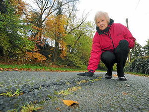 Supporting image for story: Subsidence fears as cracks appear in road alongside Llangollen Canal