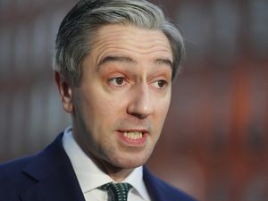 Supporting image for story: Harris reiterates support for Omagh public inquiry in Benn meeting