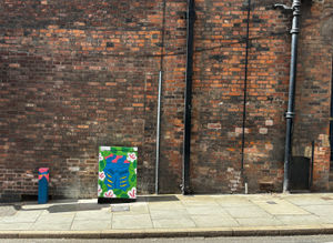 The new mural to be found on the streets of Shrewsbury.